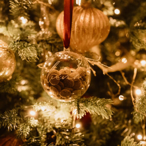 Imagem do produto Bola Natal Animal Estimação