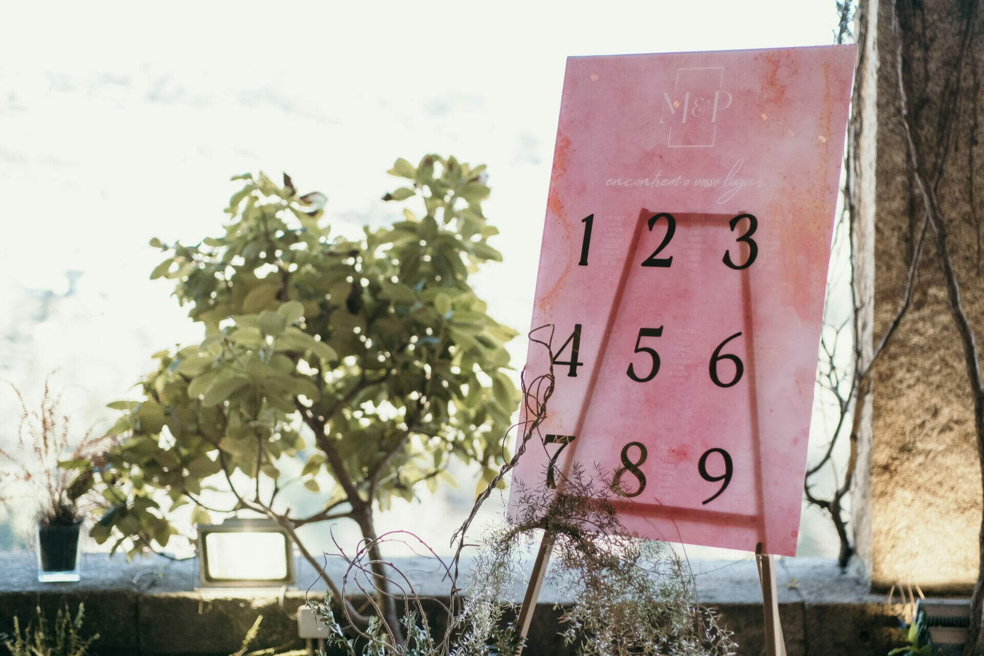 Placard Casamento Acrílico Delicado