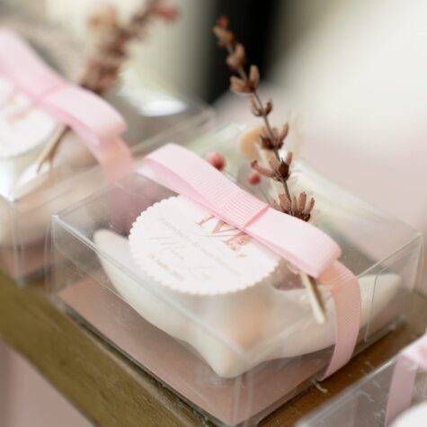 Imagem do produto Andorinha Gesso Perfumando Lembrança